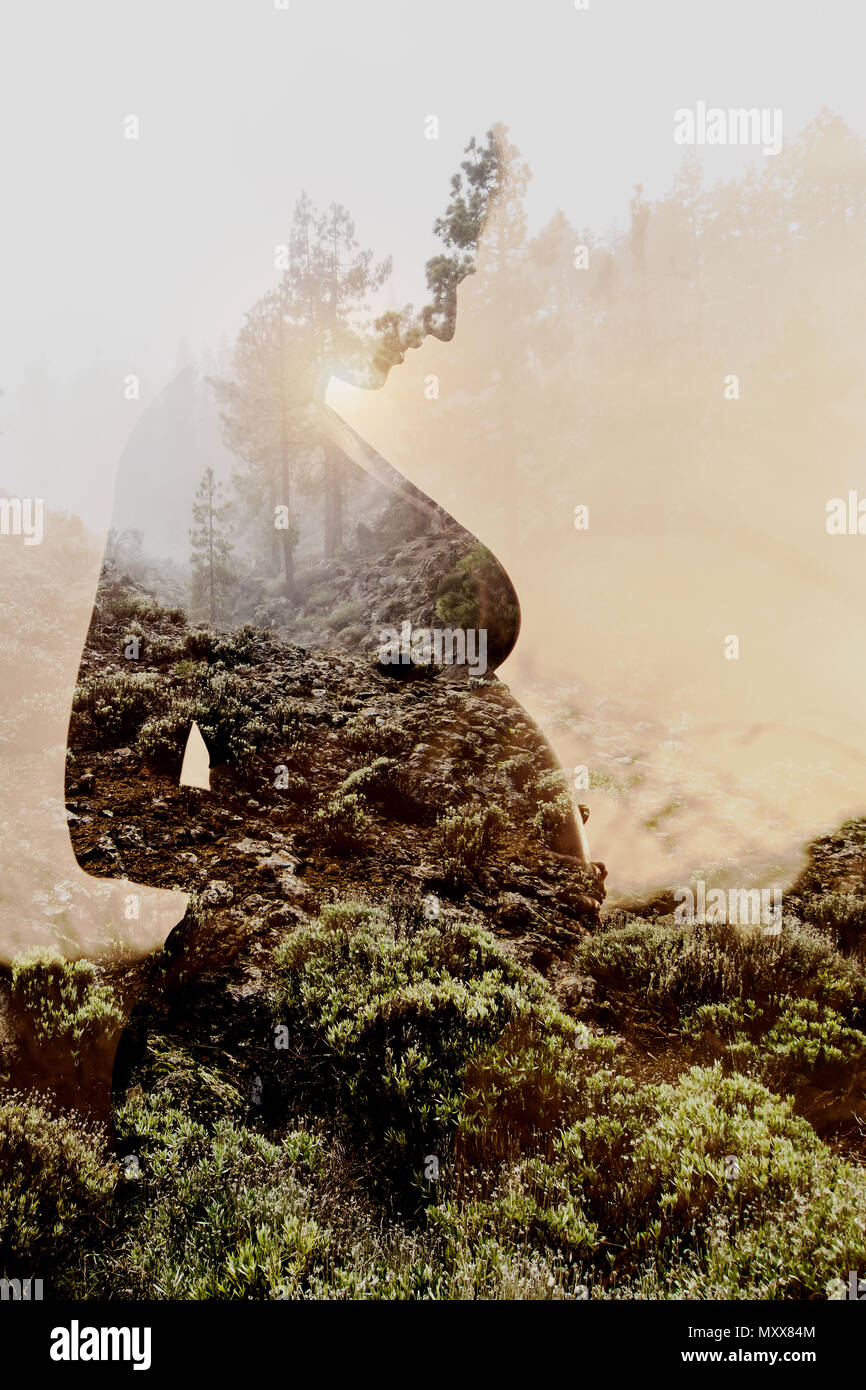 Double exposition. Silhouette de femme enceinte combiné à forest Banque D'Images