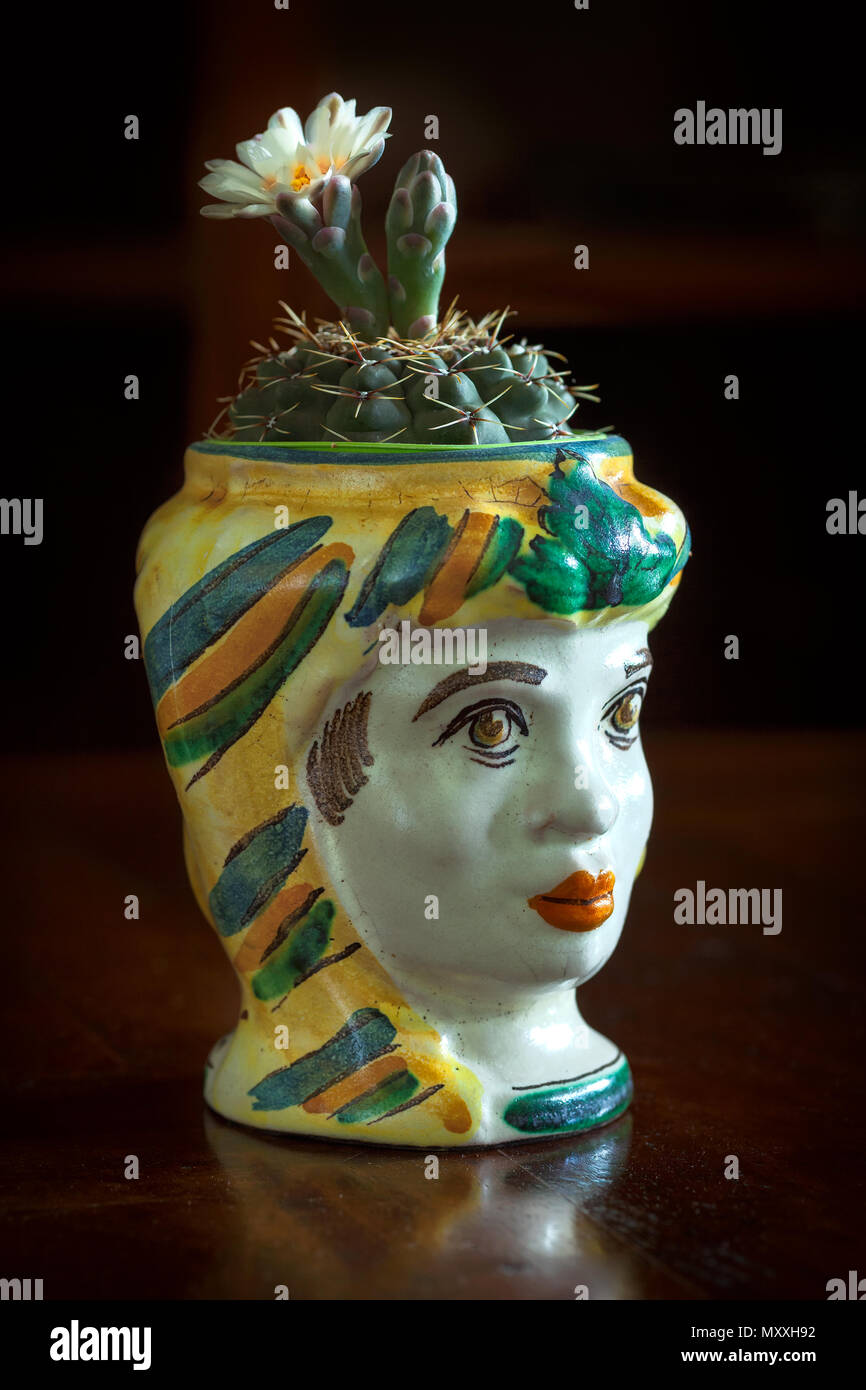Pot de céramique colorée d'un cactus à fleurs sur elle, Sicile, Italie Banque D'Images