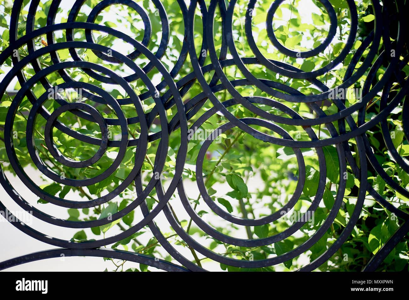 Clôture en métal forgé. Le dessin des cercles. Clôture décorative Banque D'Images
