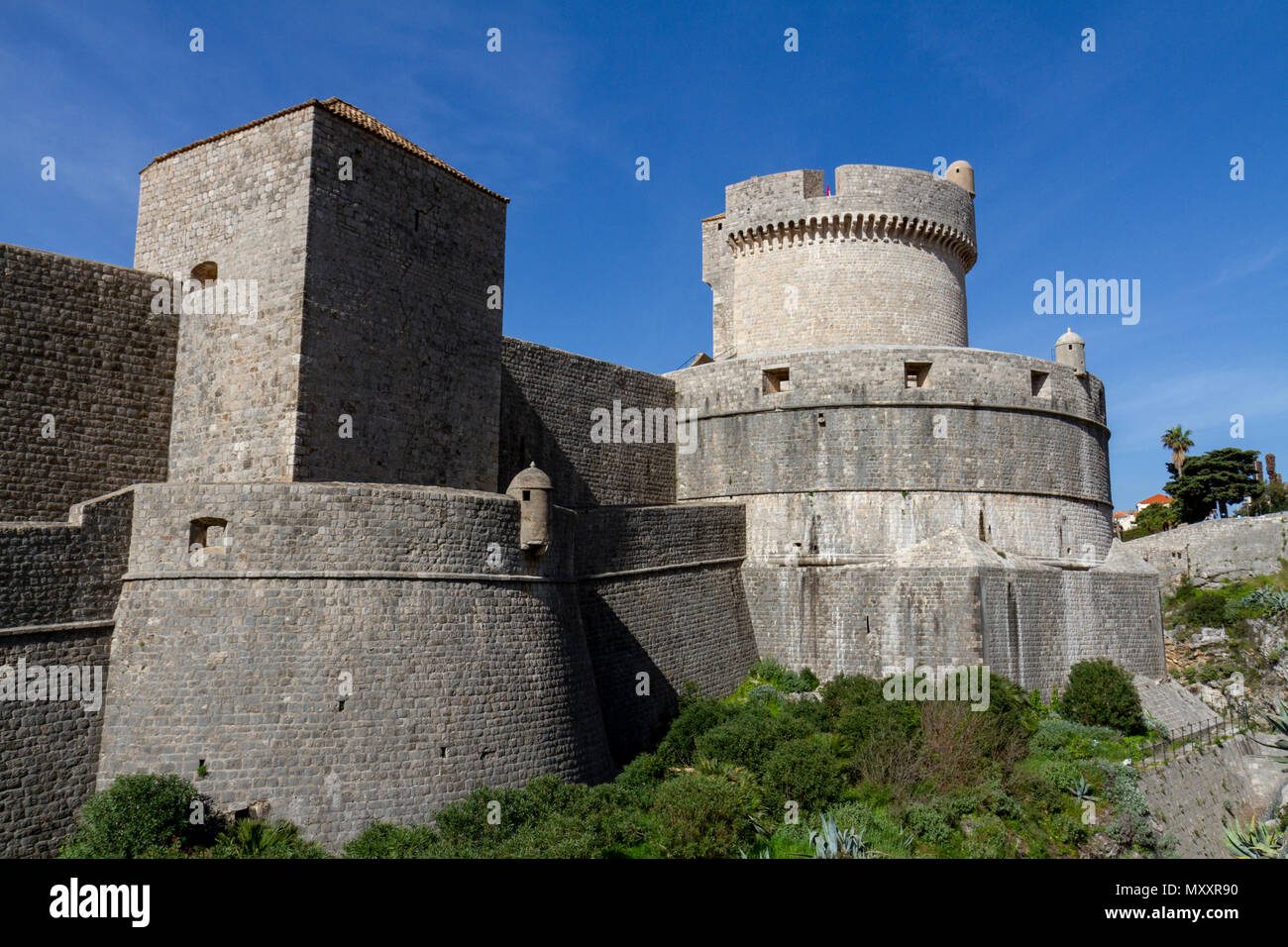 Les murs de la vieille ville de Dubrovnik et la Tour Minčeta, Croatie. Banque D'Images