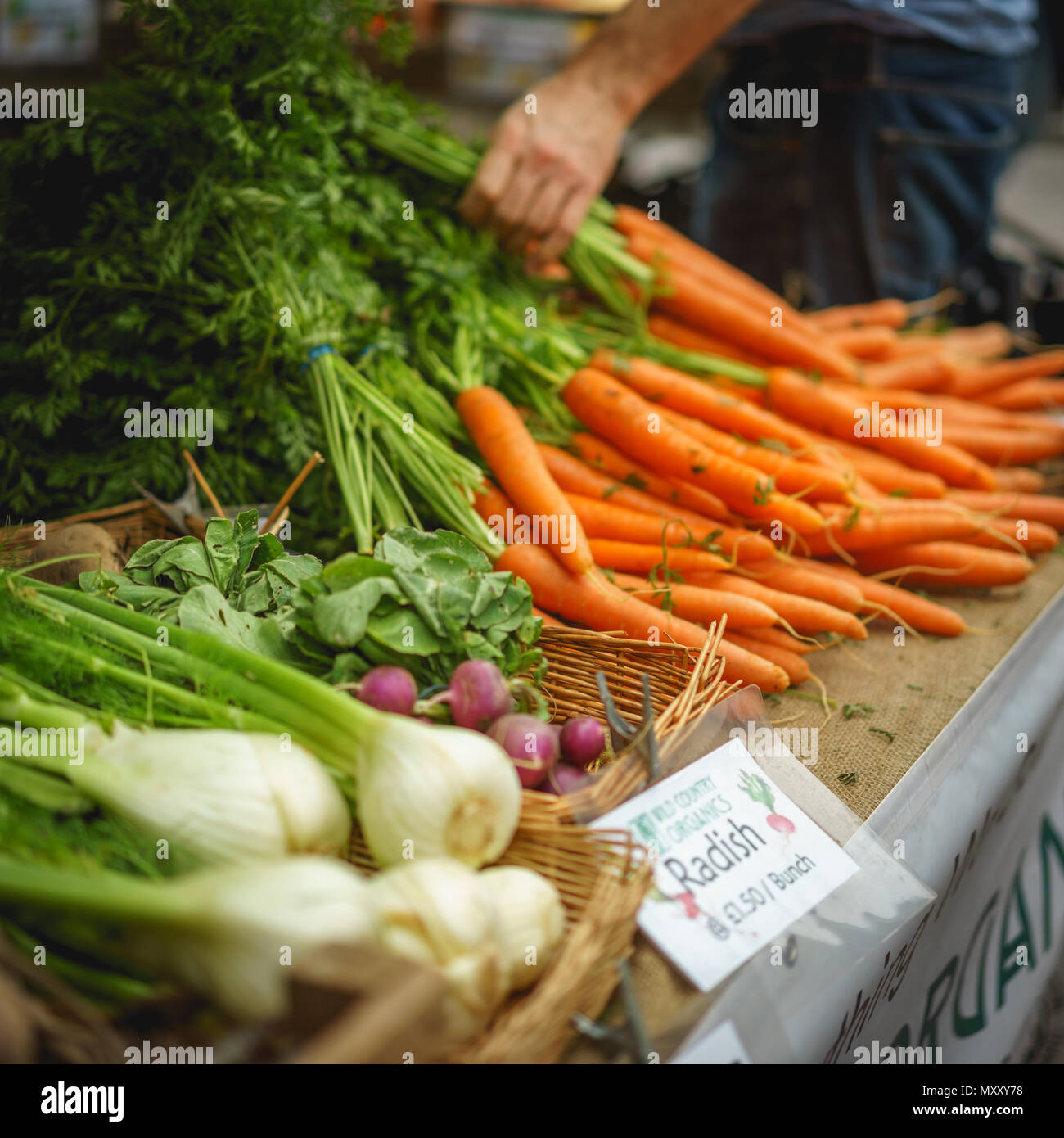 Londres, Royaume-Uni - Octobre 2017. Légumes de saison vendus dans une stalle à Brockley, marché fermier local market qui a lieu chaque samedi à Lewisham. Banque D'Images