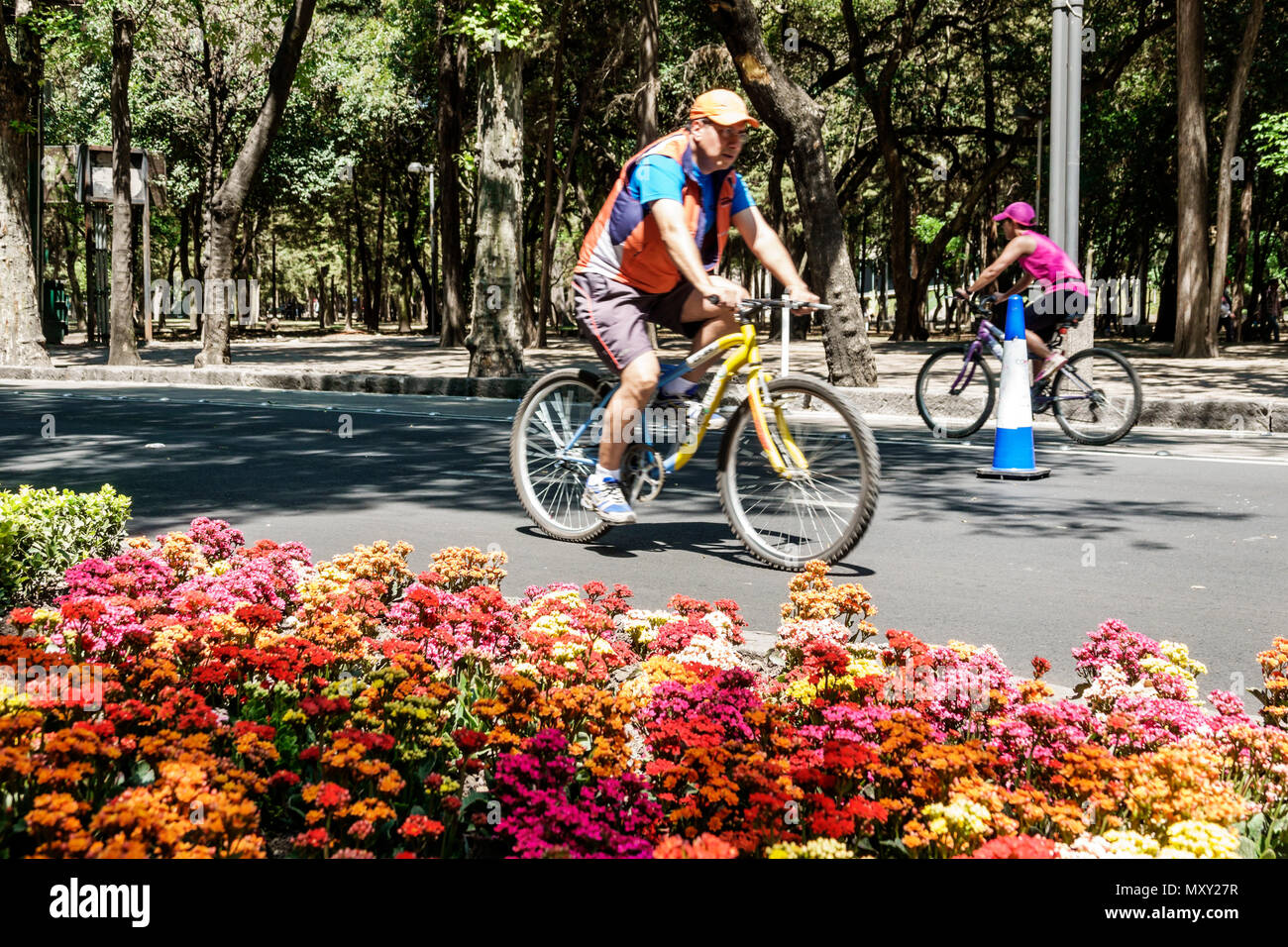 Mexico, mexicain, hispanique latin Latino ethnique, Bosque de Chapultepec forêt, Paseo la Reforma, vélo vélos vélos vélo vélo équitation biki Banque D'Images