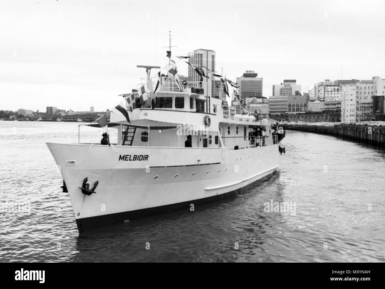 MV Melbidir, Brisbane River, 1973. Le MV Melbidir était un navire d'approvisionnement du gouvernement du Queensland construit en 1973 pour transporter des passagers et du fret à partir de jeudi jusqu'à l'extérieur de l'île îles du détroit de Torres. Elle pouvait transporter 157 tonnes de marchandises générales et de 11 tonnes de marchandises réfrigérées. C'était le quatrième navire nommé Melbidir exploités par le Gouvernement du Queensland pour desservir les îles du détroit de Torres et péninsule du Nord. Elle a été vendue en 1988 pour le Gouvernement des îles Falkland et rebaptisé le Sud de l'étoile. Banque D'Images