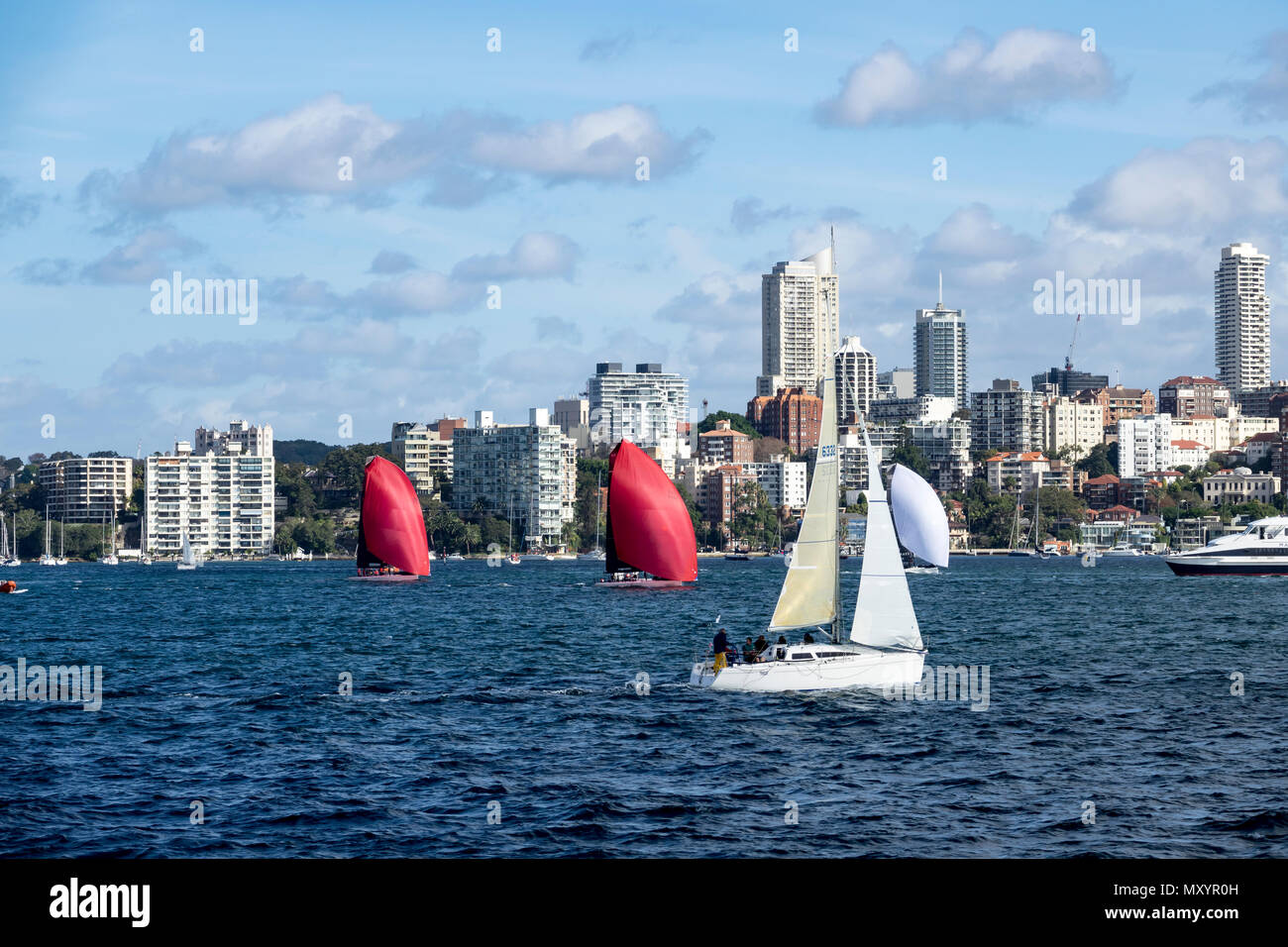 Yachts de course en face de la ville de Sydney en hiver Banque D'Images