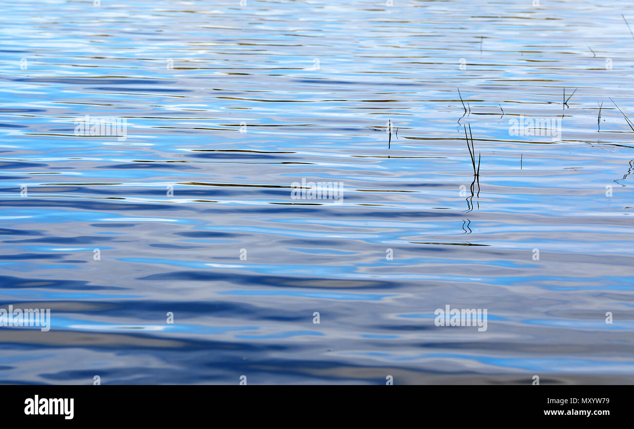 Close up of water waves ondulations douce soyeuse texture montrant les régularités et inky réflexions. Parfait pour les milieux et de bannière ou fine art canvas. reed Banque D'Images