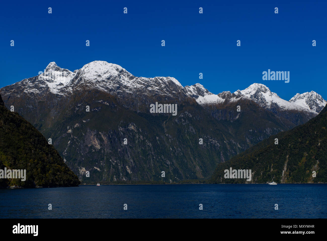 Milford Sound, Parc National de Fiordland, Nouvelle-Zélande Banque D'Images