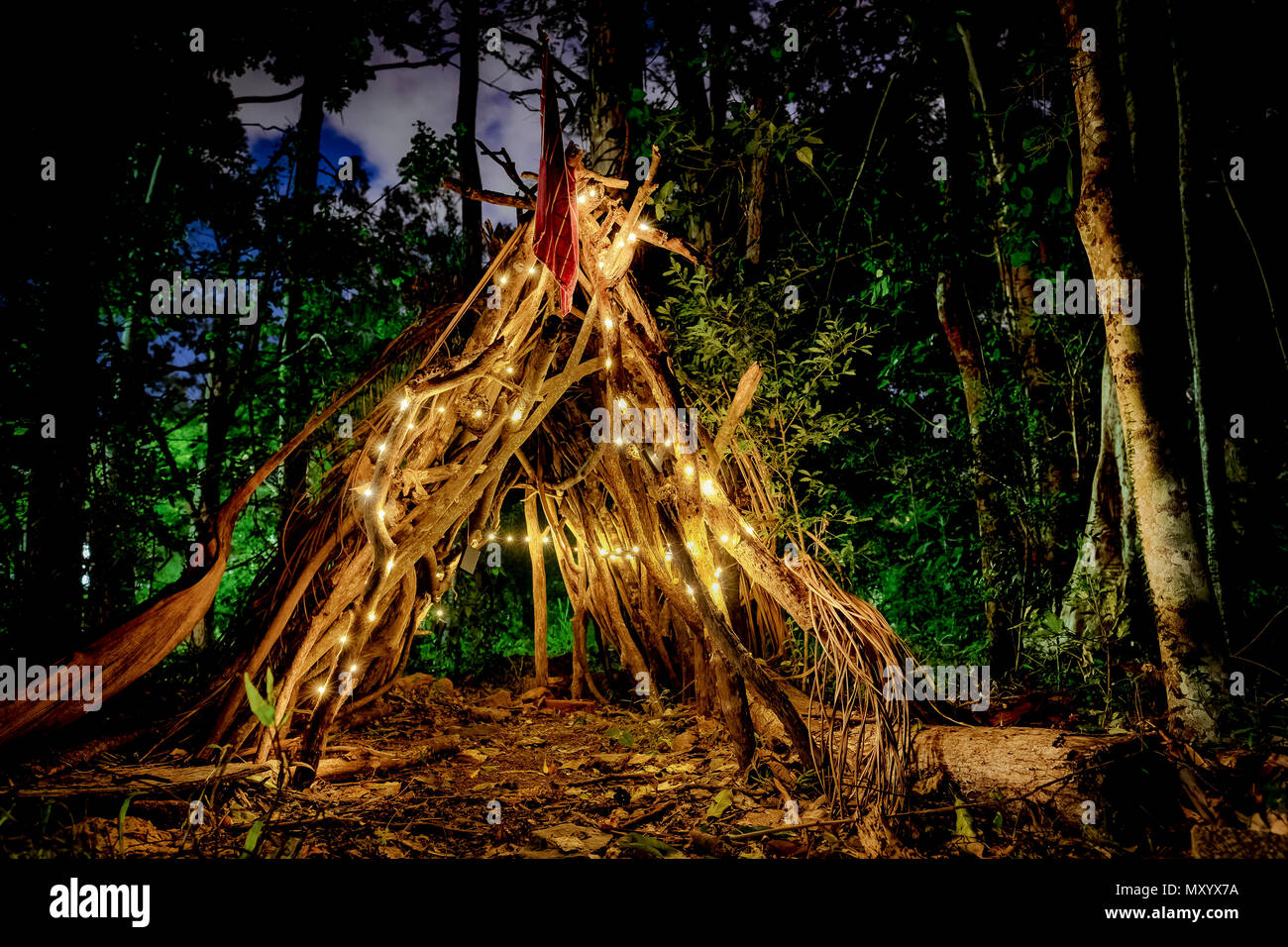 Arbres lumineux festif - Brisbane, Queensland, Australie Banque D'Images