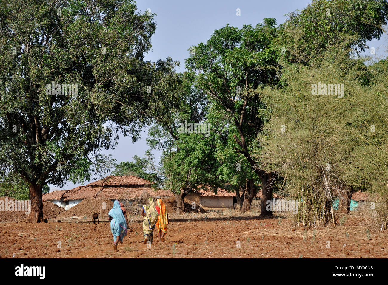 L'Inde, l'Orissa, Baiga village Banque D'Images