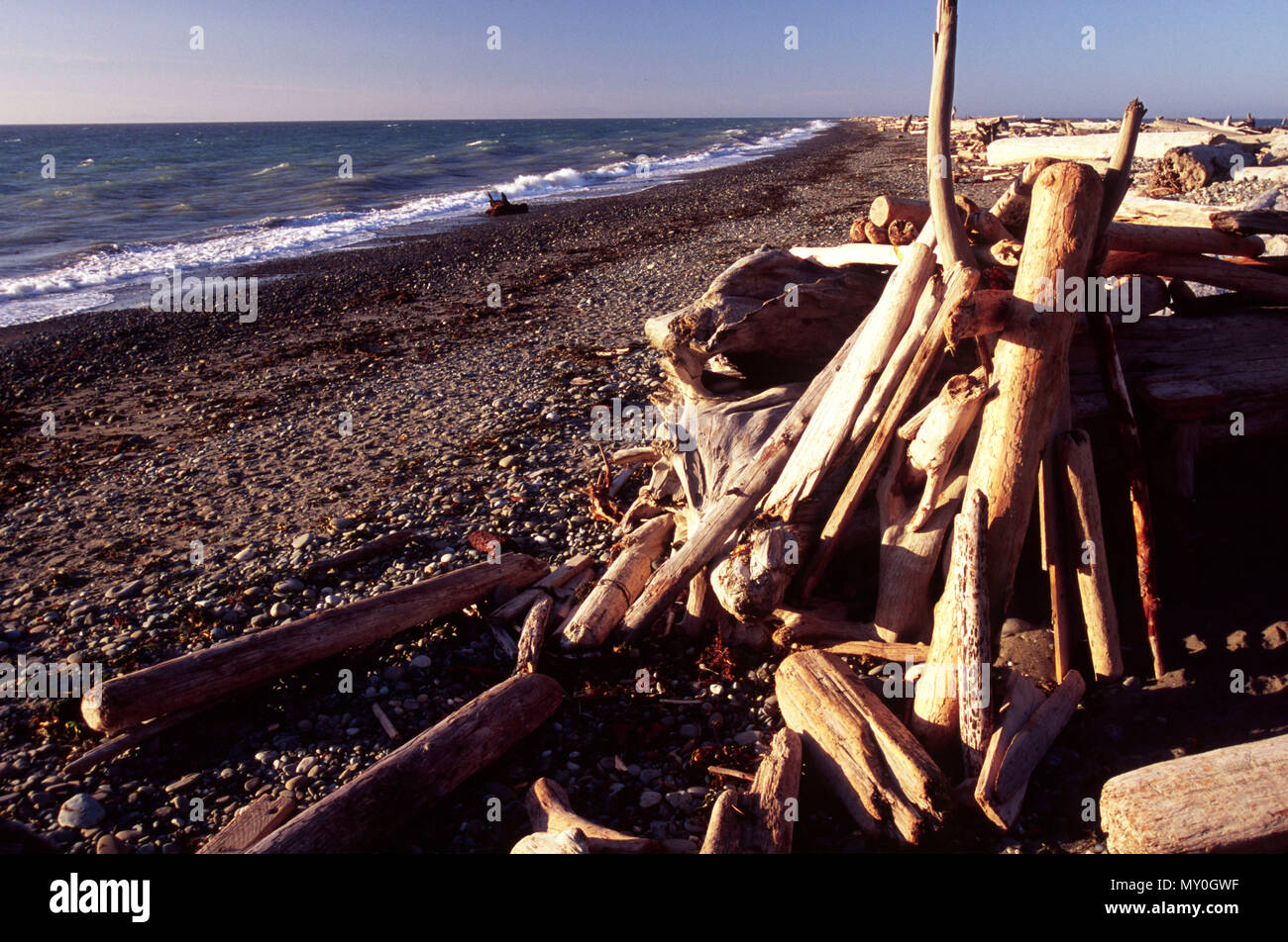 L'abri du vent sur la plage de dormeurs Spit, Dungeness National Wildlife Refuge, Washington Banque D'Images