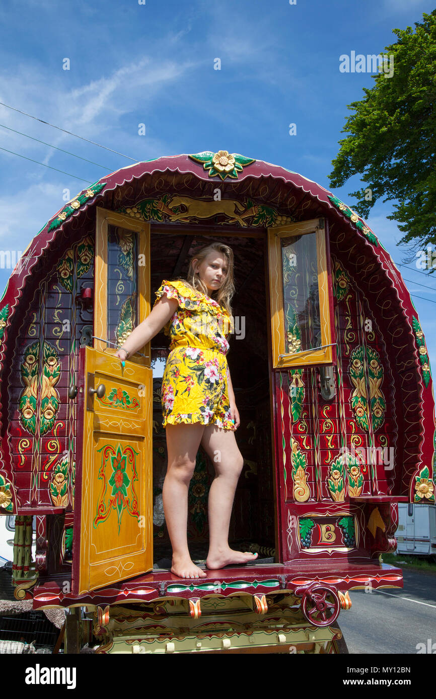 Caravanes Romany Travelers ; Kirkby Stephen, Cumbria, Royaume-Uni. 5th juin 2018. Météo. 05/06/2018. Rosie Huntly, âgée de 10 ans (MR), et les membres de la communauté itinérante se dirigent vers la foire équestre Appleby car les routes de Cumbria et des Yorkshire Dales offrent un pâturage pour leur rafle Horses en-rout à leur rassemblement annuel. La foire hippique a lieu chaque année au début du mois de juin. Il attire environ 10 000 tziganes et voyageurs et environ 30 000 autres personnes. Plutôt qu'un événement organisé avec un programme fixe, il est considéré comme la plus grande foire tzigane traditionnelle d'Europe, comme une grande famille se réunir. Banque D'Images