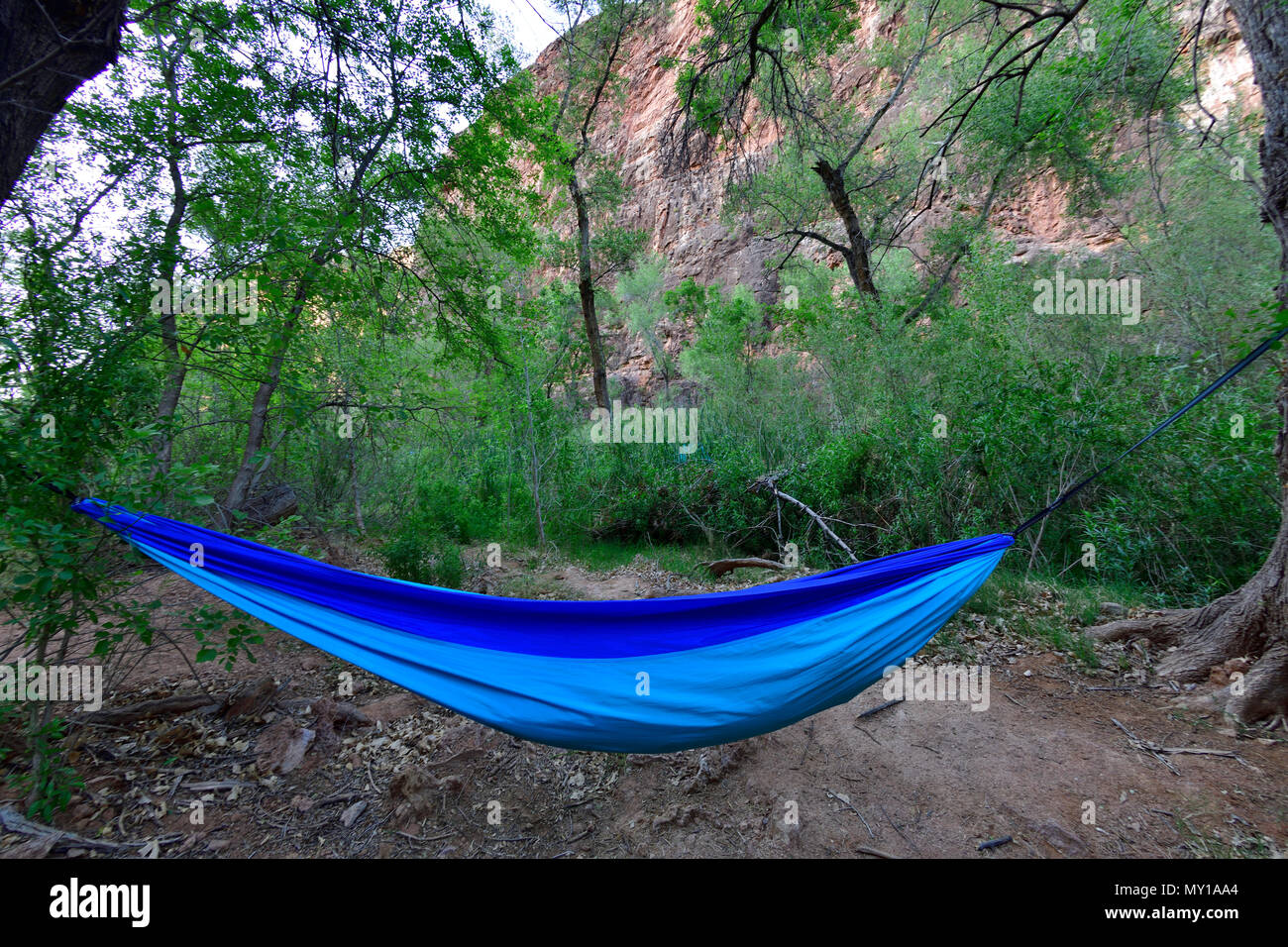 Un hamac à vide Camping Havasupai Banque D'Images