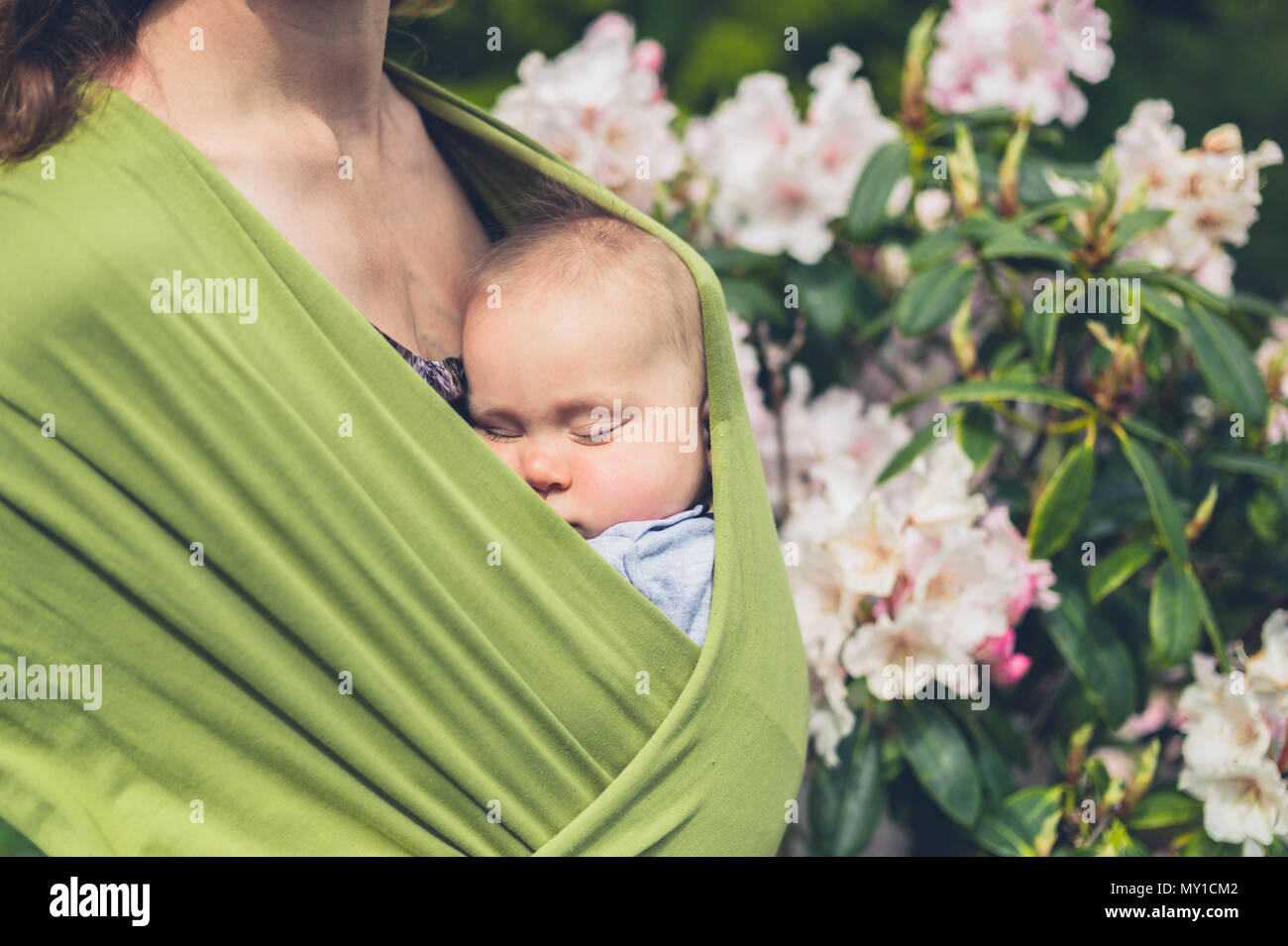 Un mignon petit bébé dans une écharpe portée par sa mère est en train de dormir par un camellia bush Banque D'Images