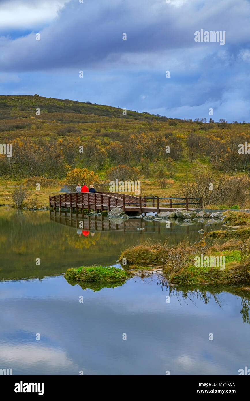 Dans Vifilsstadavatn Gardabaer, banlieue de Reykjavik, Islande Banque D'Images