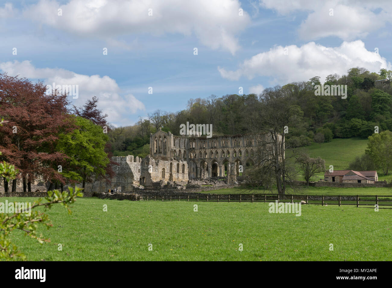 L'abbaye de Rievaulx, North Yorkshire Moors, North Yorkshire, Angleterre Banque D'Images