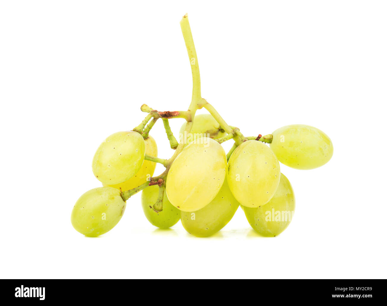 Petite branche de délicieux raisins vert sur fond blanc Banque D'Images