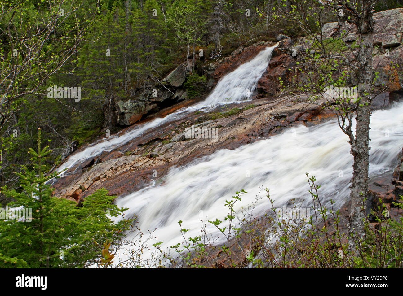 Au sud-est du parc national du Gros-Morne brut Brook Falls au crépuscule. Le parc national du Gros-Morne, à Terre-Neuve, Canada, Banque D'Images