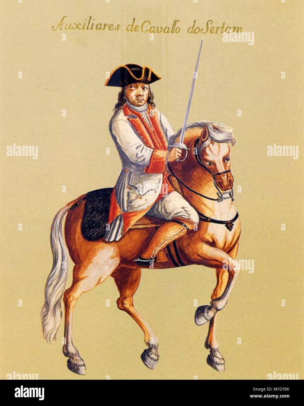 541 Uniforme de oficial de milícia Banque D'Images