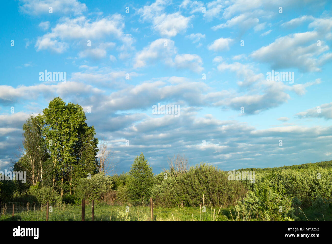 Paysage de l'année dans les régions rurales de terrain sur fond bleu ciel avec des nuages blancs Banque D'Images