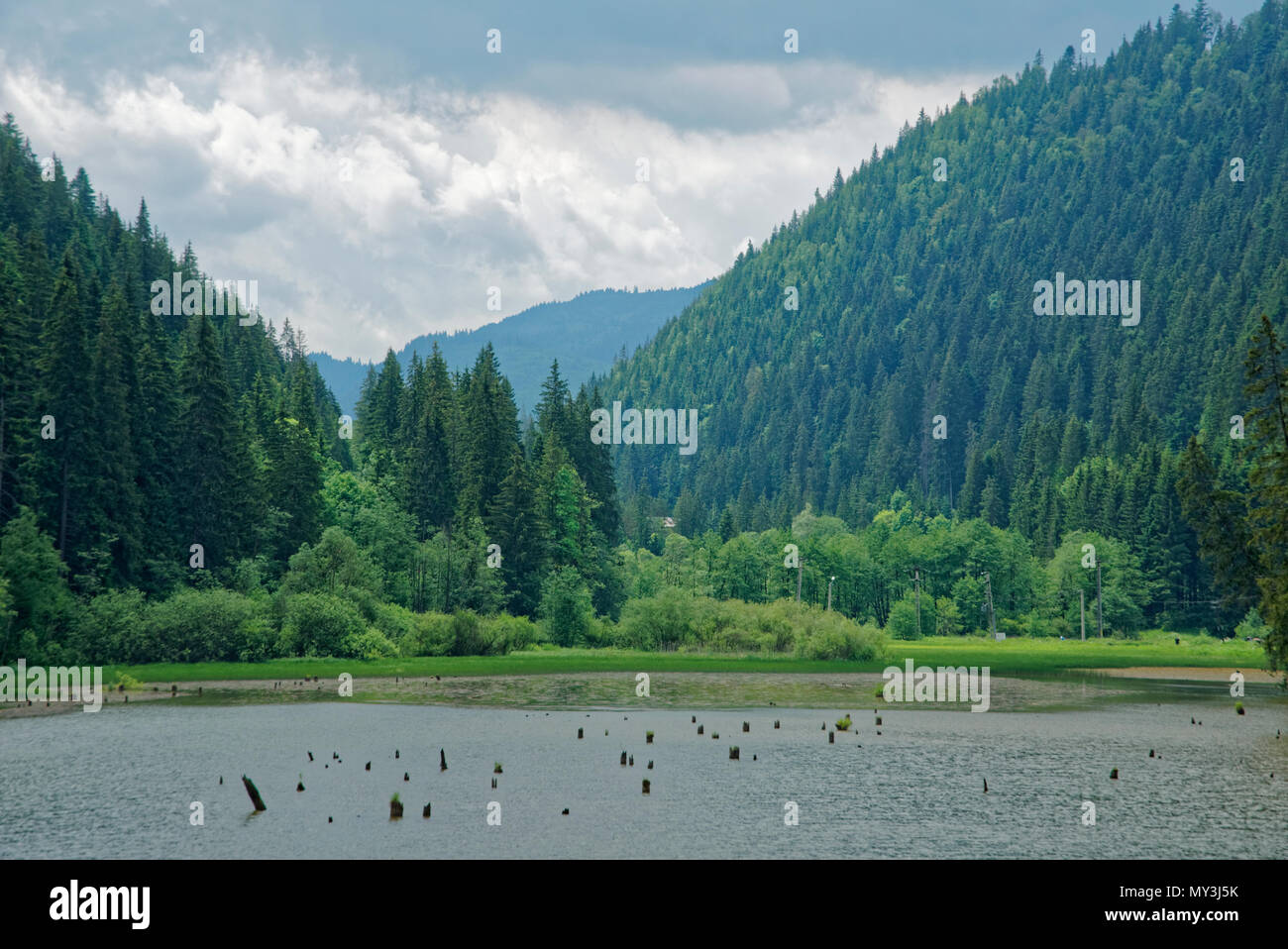 Road Trip Vrai La Merveilleuse Nature Et Paysage De Roumanie Photo Stock Alamy