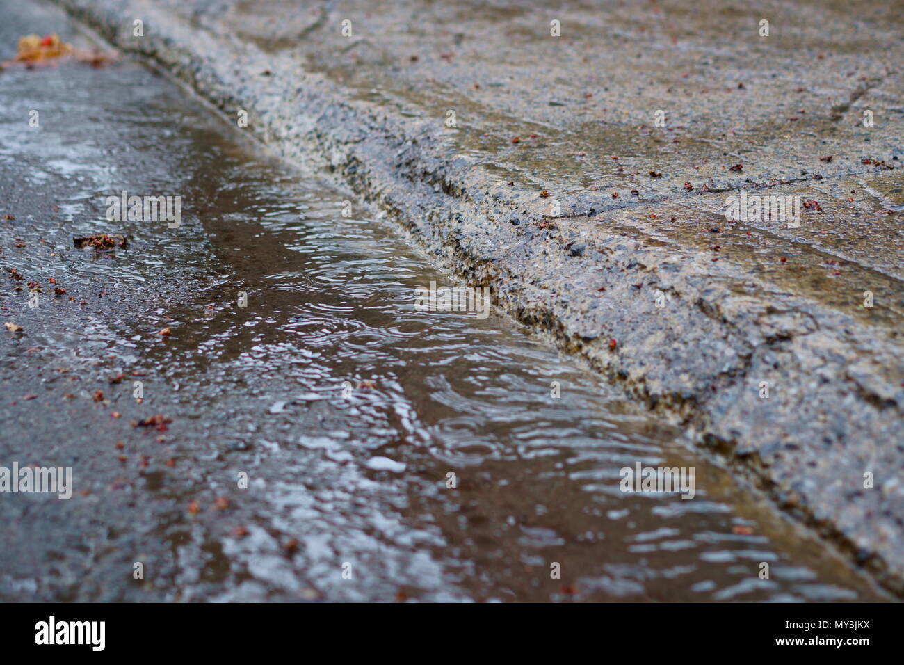 Dans un jour de pluie, l'eau coule le long du trottoir. Focalisation étroite. Banque D'Images