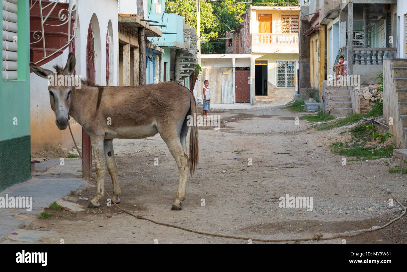 Je suis tombé sur cette scène pendant un lever de pied à Trinidad, Cuba Banque D'Images