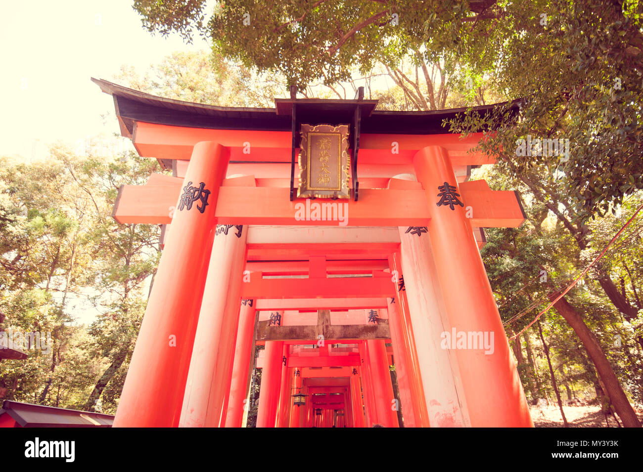 Porte Torii rouge nommé au Sanctuaire Fushimi Inari, Kyoto, Japon Photo  Stock - Alamy