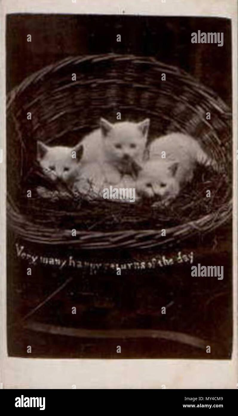 . Anglais : blanc trois chatons dans un panier, une carte de 'The Brighton Cats' série, photographié par Harry à son pointeur Bloomsbury Place studio à Brighton. La photographie porte le message d'accueil "très bon anniversaire du jour'. Années 1870. Harry Pointer (1822-1889) 89 BTNPointerHappyReturns Banque D'Images