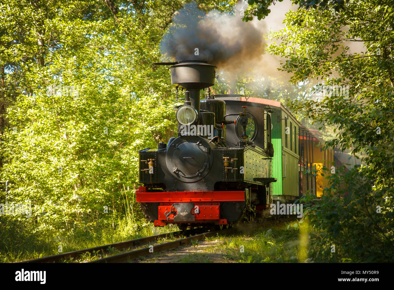 Un rétro narrow gauge train traverse un parc verdoyant à Ventspils, Lettonie Banque D'Images