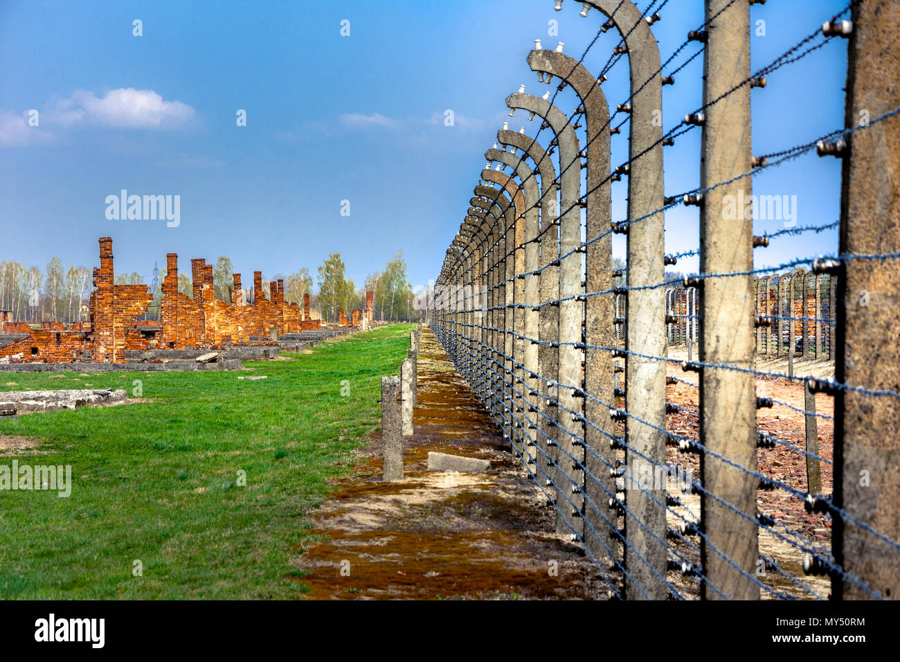 Les barbelés électriques de l'allemand nazi de concentration et d'extermination d'Auschwitz Birkenau camp world heritage, Pologne Banque D'Images