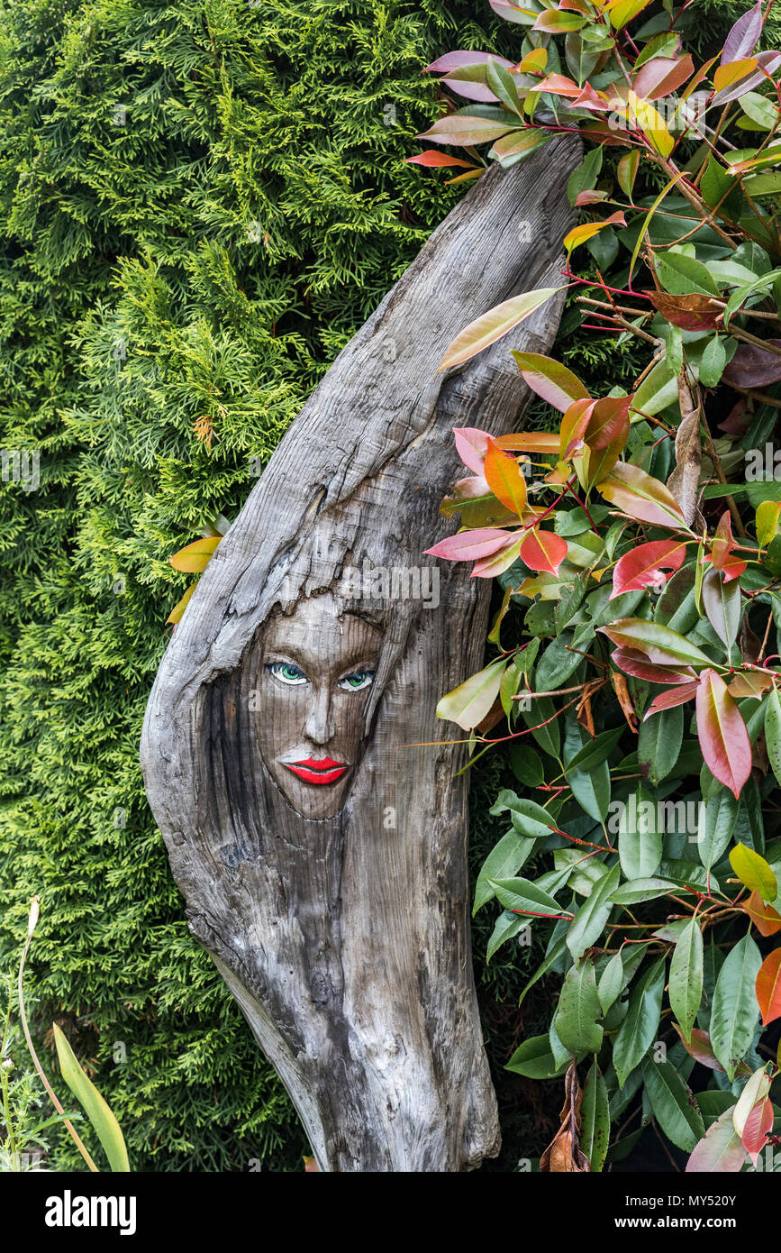 Visage de femme sculptée sur bois flotté Banque D'Images