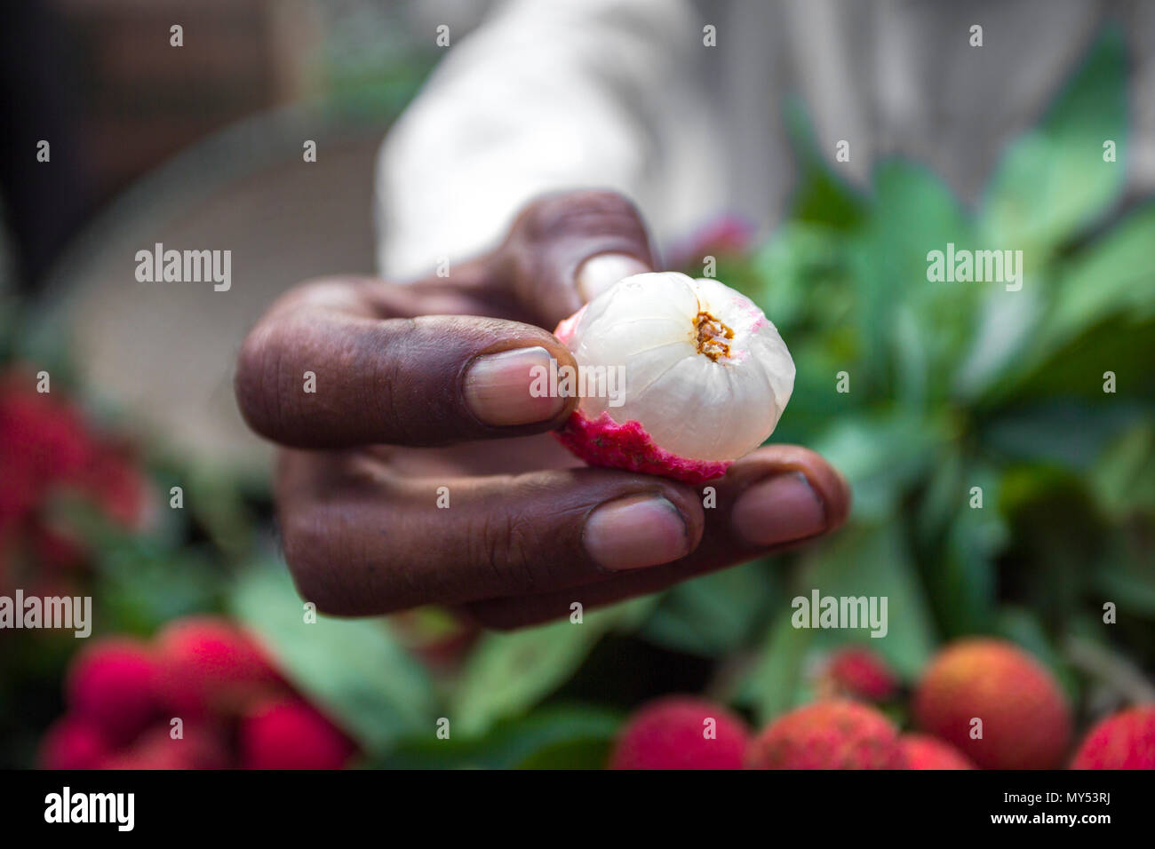 Pelures de litchi de regarder dans Shimultoli Rooppur au Bazar, Ishwardi , le Bangladesh. Banque D'Images