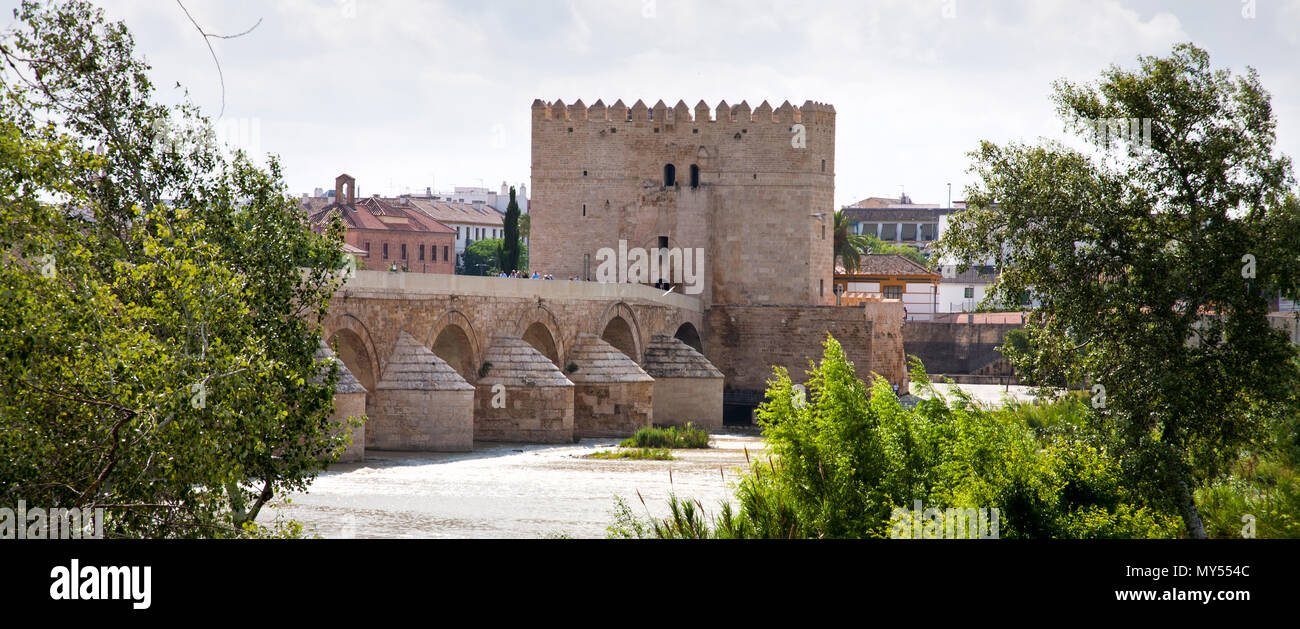 Un pont plat unique avec des arcs dans un style romain sur une rivière Espagnole Banque D'Images