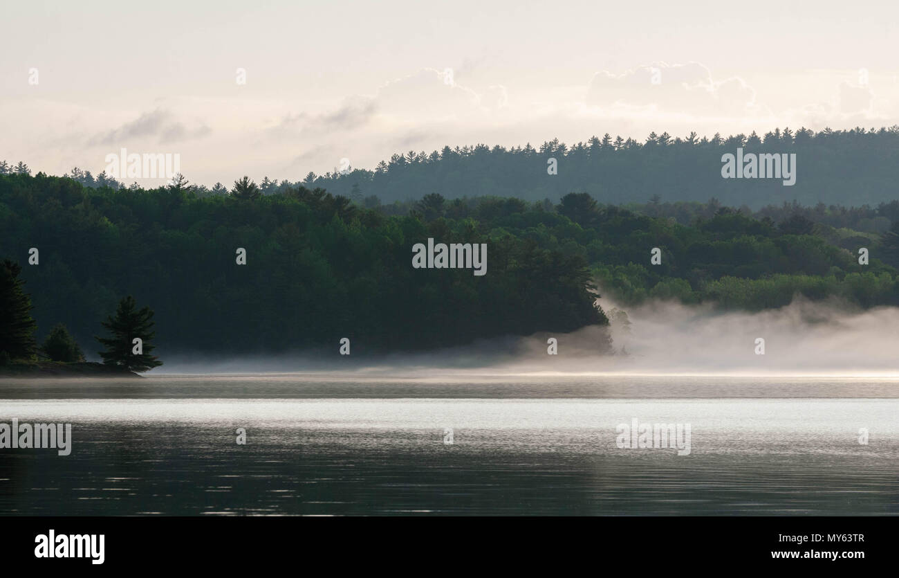 Une belle adresse à découvrir dans le parc provincial de l'Ontario est du bois flotté. Des scènes à couper le souffle comme ceci chaque soir et matin sauront plaire à tous les Banque D'Images