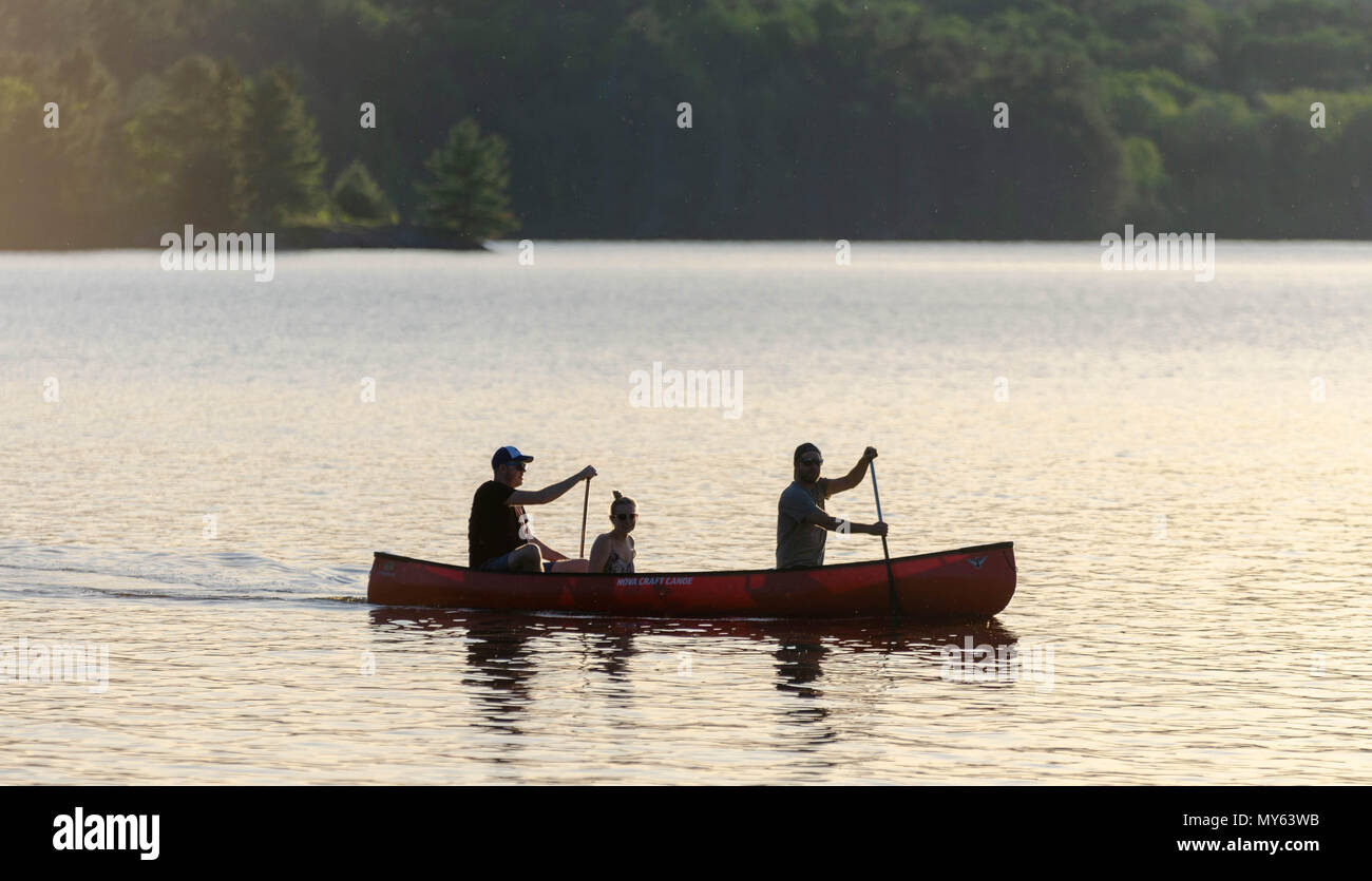 Une belle adresse à découvrir dans le parc provincial de l'Ontario est du bois flotté. Des scènes à couper le souffle comme ceci chaque soir et matin sauront plaire à tous les Banque D'Images