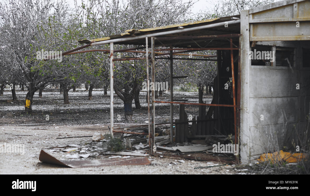 Paysage agricole, jardin avec arbres fruitiers Banque D'Images