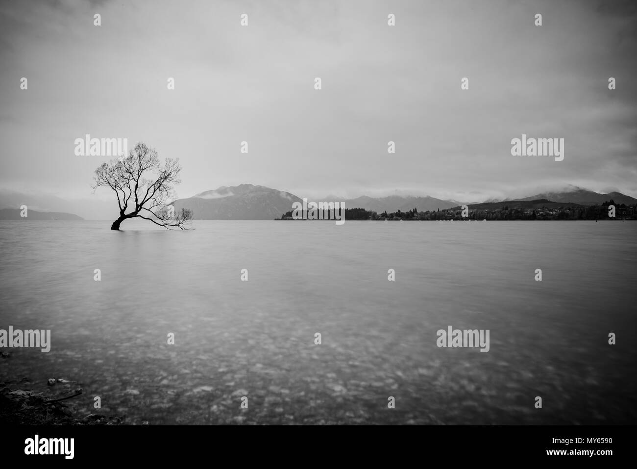 L'arbre dans le lac Wanaka, île du Sud, Nouvelle-Zélande paysage Banque D'Images