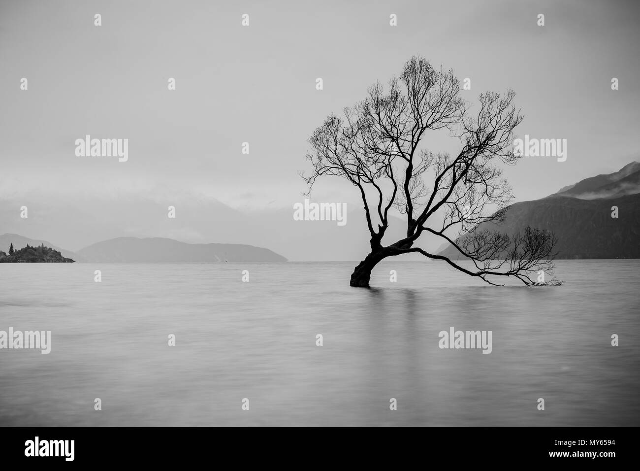 L'arbre dans le lac Wanaka, île du Sud, Nouvelle-Zélande paysage Banque D'Images
