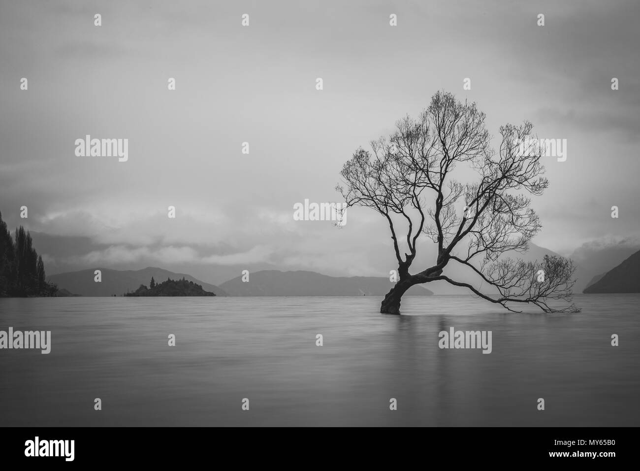 L'arbre dans le lac Wanaka, île du Sud, Nouvelle-Zélande paysage Banque D'Images