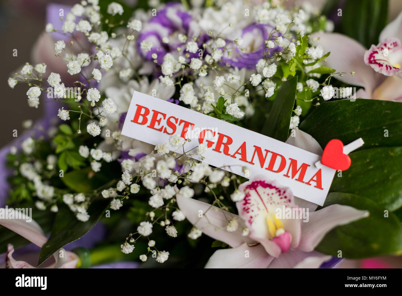 De Belles Fleurs Cadeau Pour Les Grands Parents Journee Avec Carte De Vœux Vue De Dessus Close Up Felicitations Pour Les Proches Bouquet D Orchidees Pour Grand Mere Les Grands Parents Plus Jamais Photo Stock Alamy De Belles Fleurs Cadeau Pour Les Grands Parents Journee Avec Carte De Vœux Vue De Dessus Close Up Felicitations Pour Les Proches Bouquet D Orchidees Pour Grand Mere Les Grands Parents Plus Jamais Photo Stock Alamy