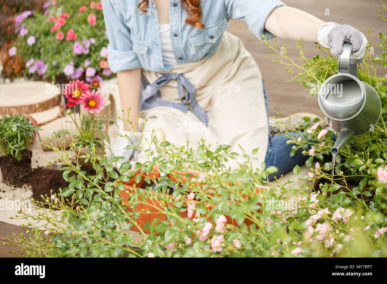 Femme agenouillée sur une terrasse en bois, le jardinage et l'arrosage des plantes dans son jardin Banque D'Images