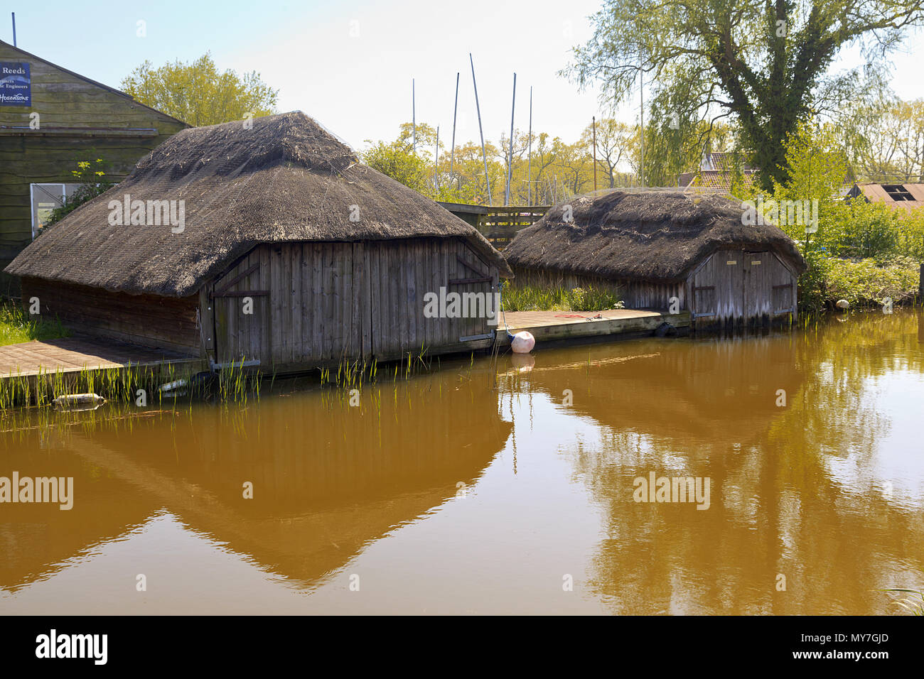 Serres de chaume sur Hickling Broads, sur les Norfolk Broads, Angleterre, Royaume-Uni Banque D'Images