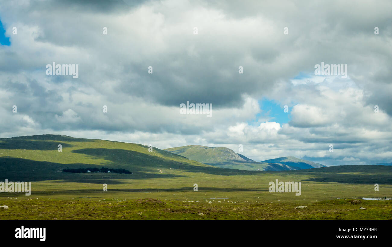 Paysage de plaine écossais, photographié à partir de la promenade populaire connu sous le nom de hêtres Banque D'Images