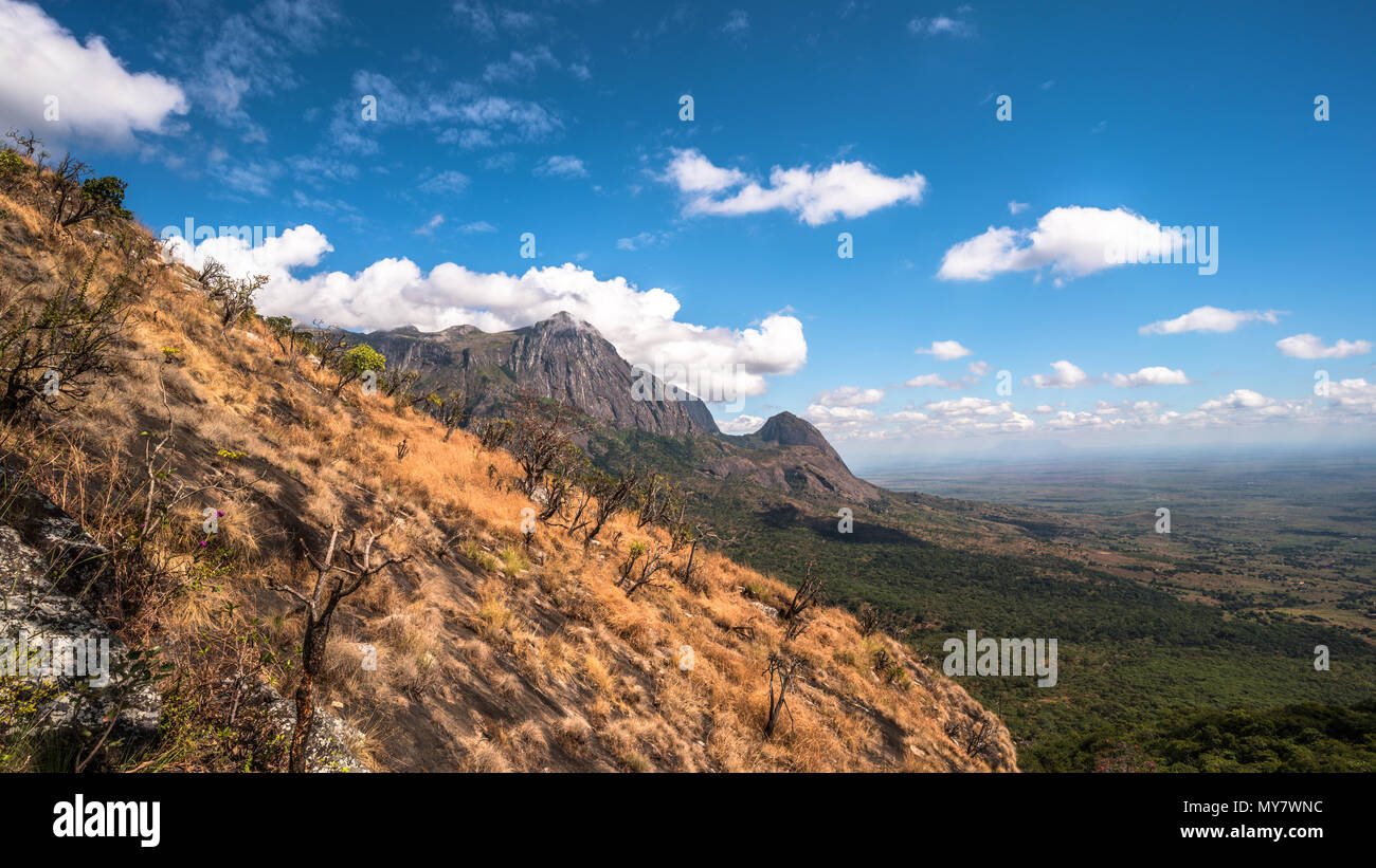 La vue sur l'Éléphant de Chambe Chef Trail sur le mont Mulanje. Banque D'Images