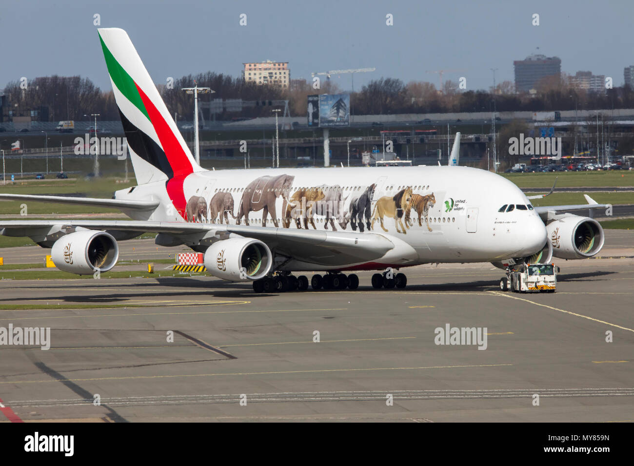 Unis Airbus A 380-861, United pour la faune et la conception, à l'aéroport d'Amsterdam-Schiphol, en Hollande du Nord, Pays-Bas, Banque D'Images