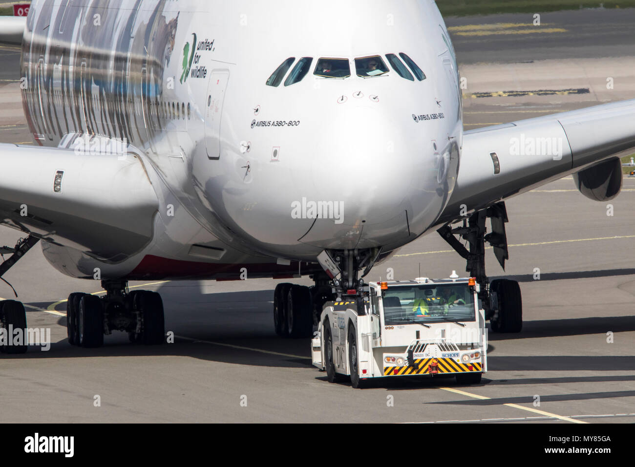 Unis Airbus A 380-861, United pour la faune et la conception, à l'aéroport d'Amsterdam-Schiphol, en Hollande du Nord, Pays-Bas, Banque D'Images