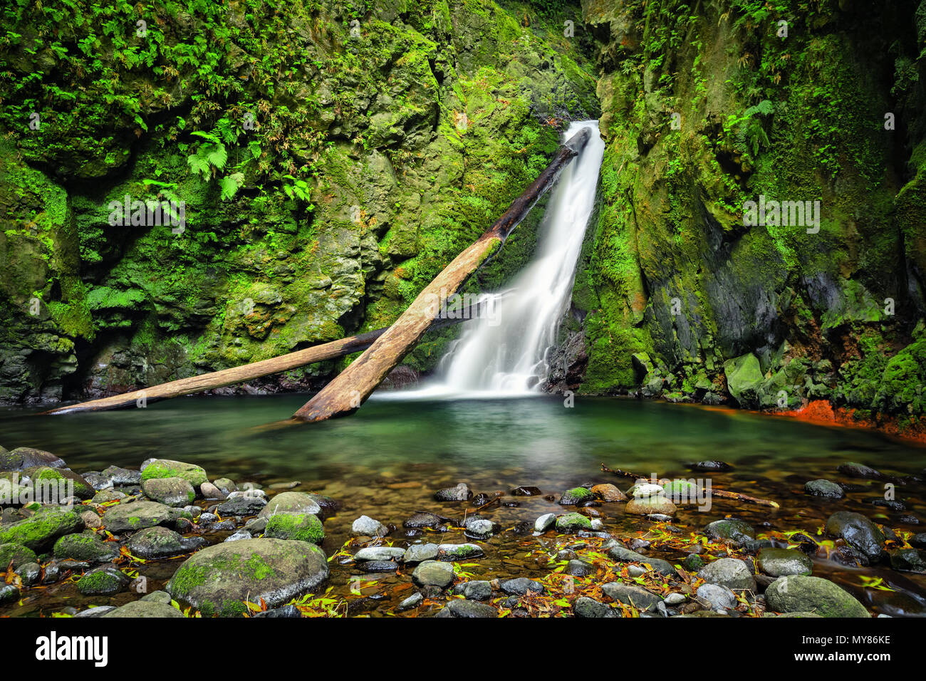 N'Cagarrao Salto cascade située sur la rivière Prego, île de São Miguel, Açores, Portugal Banque D'Images