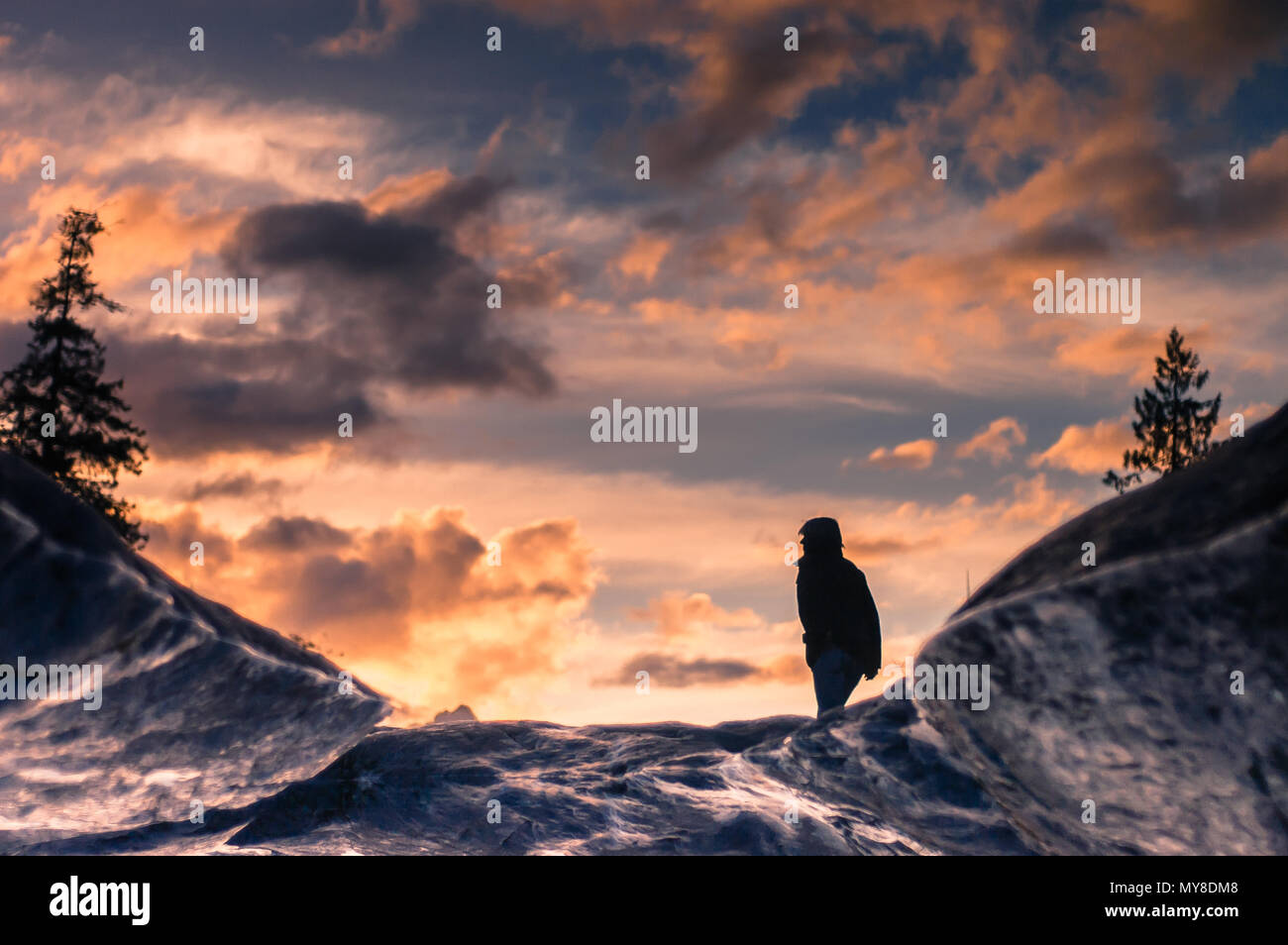 Jeune femme au coucher du soleil, à l'extérieur à un environnement rural, vue arrière, l'île de Vancouver, Canada Banque D'Images