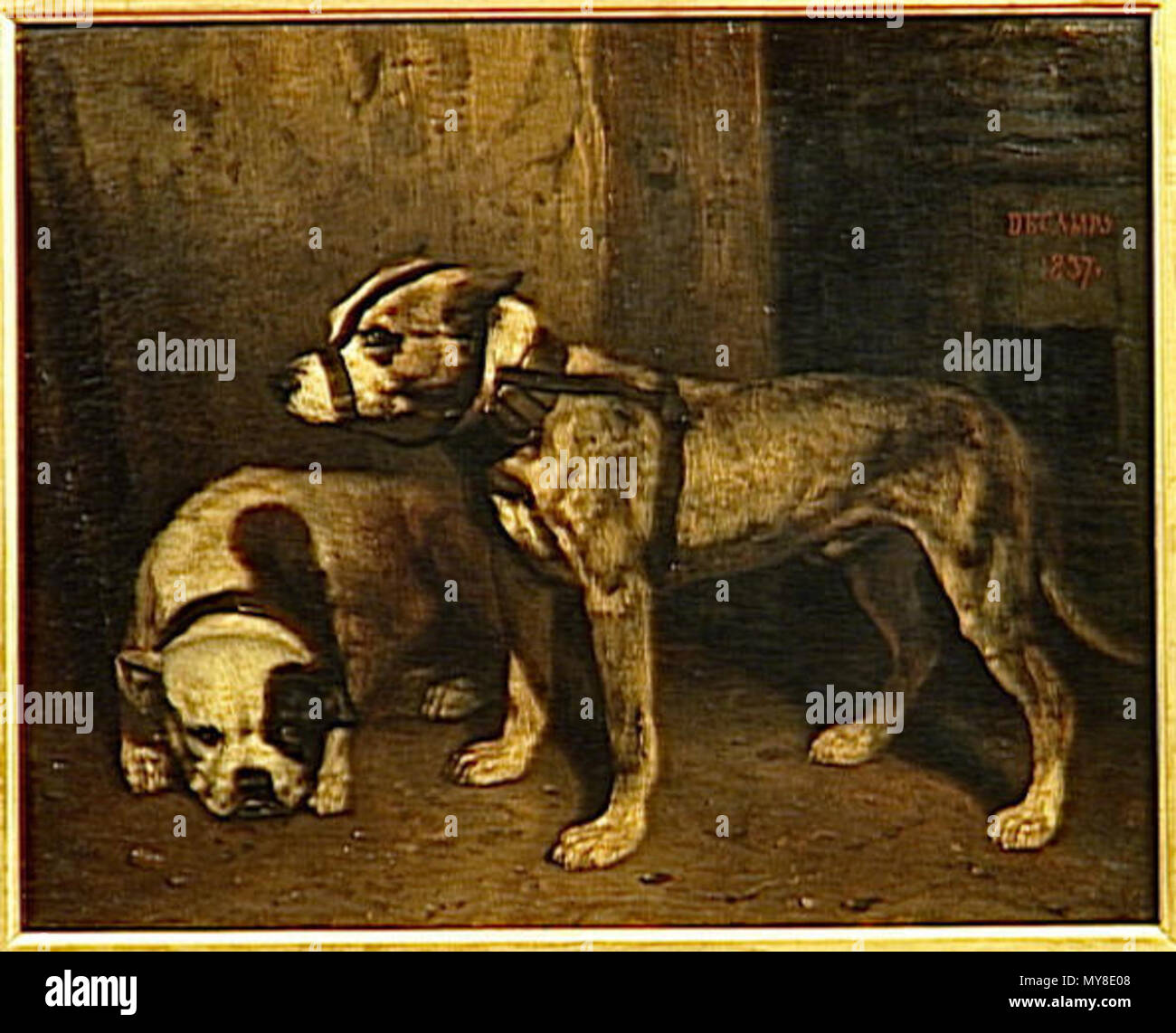 . Anglais : Decamps 18371848. 'BULLDOG ET SCOTCH(SCOTTISH TERRIER)'. Un vieux bouledogue et un bull-terrier et avec une muselière. Peinture de Alexandre Gabriel Decamps. Svenska : Decamps 1837. 30 août 2009. Inconnu 6 1837Decamps Banque D'Images