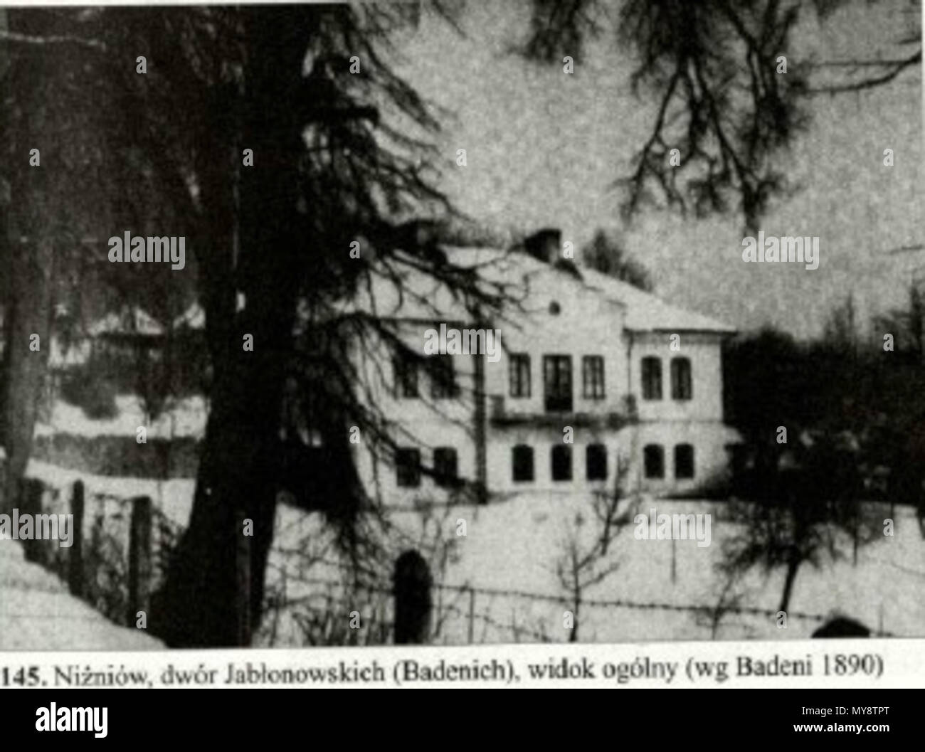 595 Палац кн. , Нижнів Яблоновських Banque D'Images