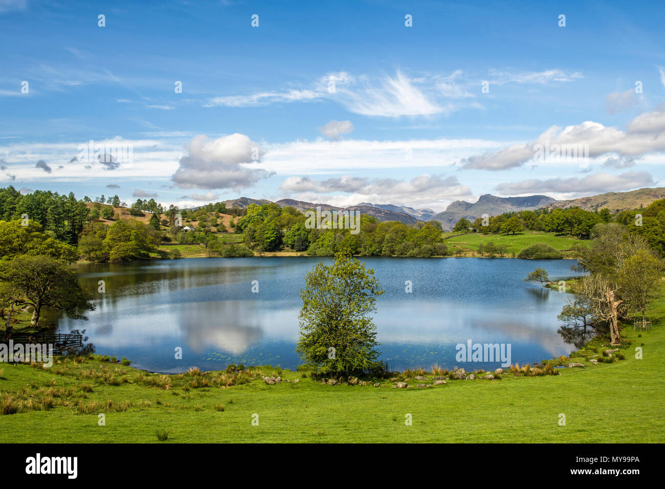 Loughrigg Tarn, le long d'une matinée de printemps, dans le Parc National de Lake District Banque D'Images